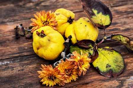 POMEGRANATE-QUINCE