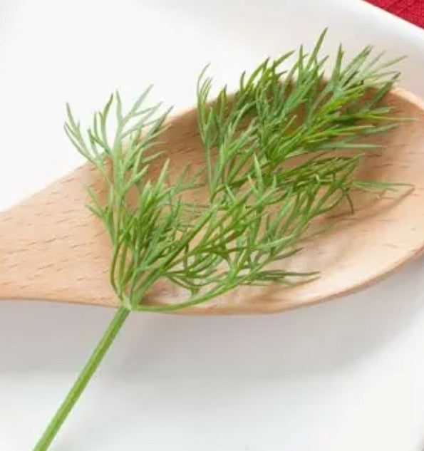 Dill